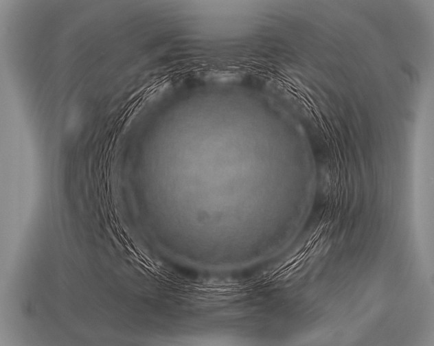 X0000113611393200909181409