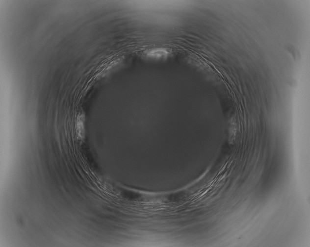 X0000113611394200909181409