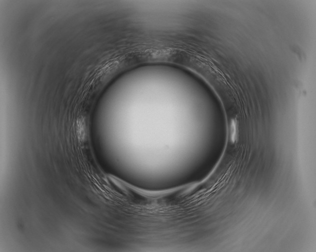X0000113611395200909181409