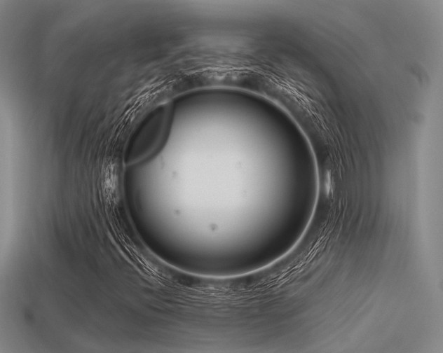 X0000113611396200909181409