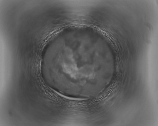 X0000113611397200909181409
