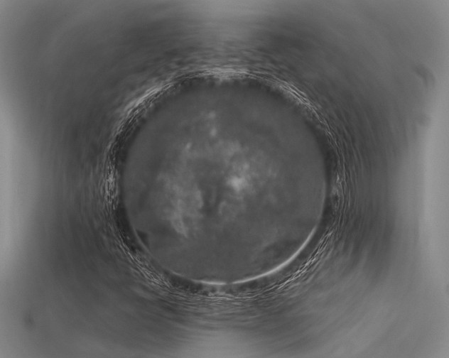X0000113611398200909181409