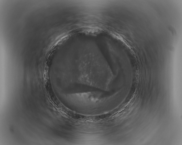 X0000113611399200909181409