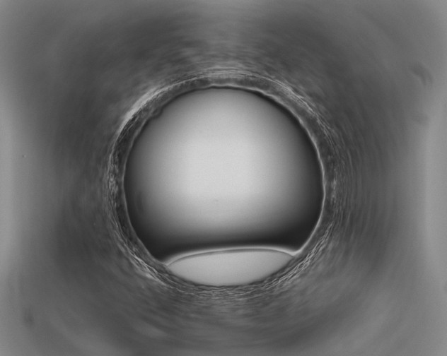 X0000113611400200909181409