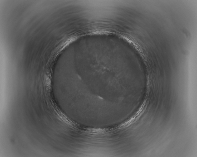 X0000113611401200909181409
