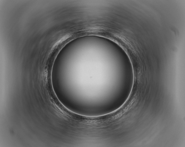 X0000113611402200909181409