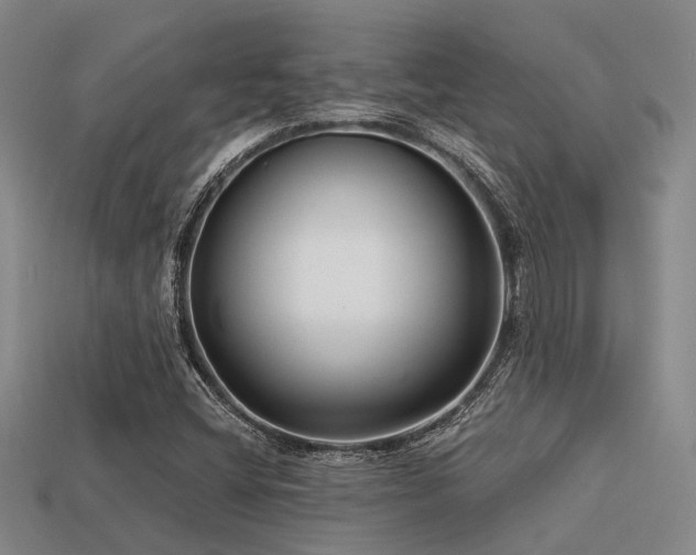 X0000113611404200909181409