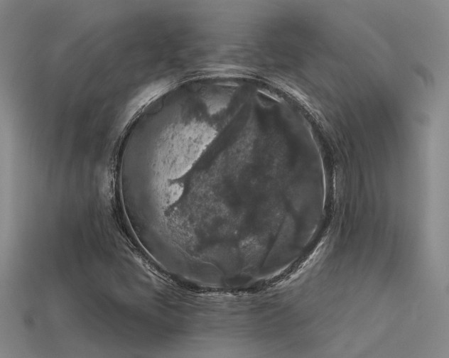 X0000113611405200909181409