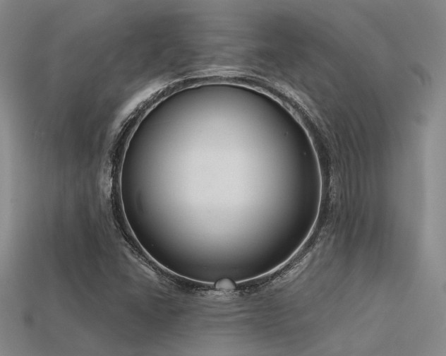 X0000113611406200909181409