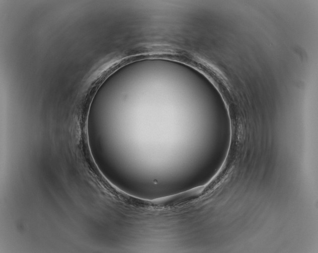 X0000113611407200909181409