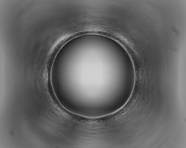 X0000113611408200909181409