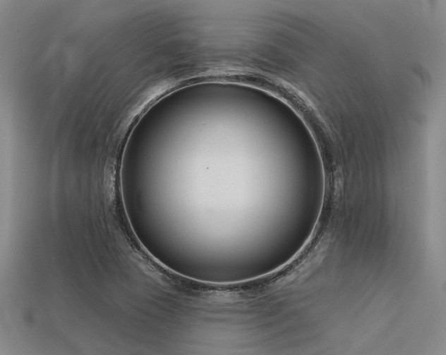 X0000113611409200909181409