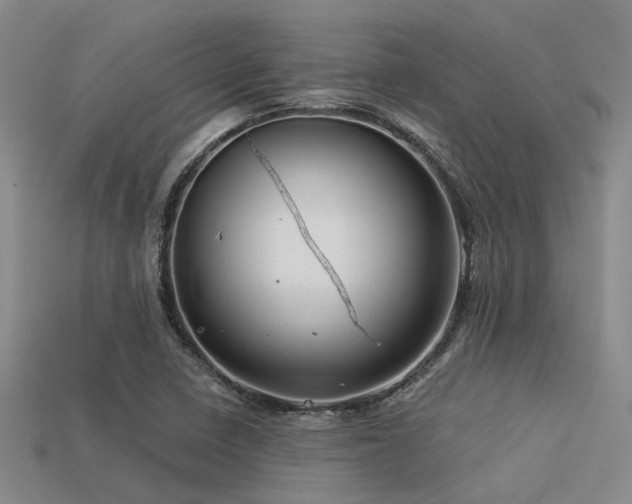 X0000113611410200909181409