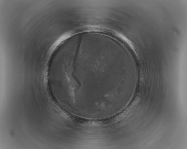 X0000113611411200909181409