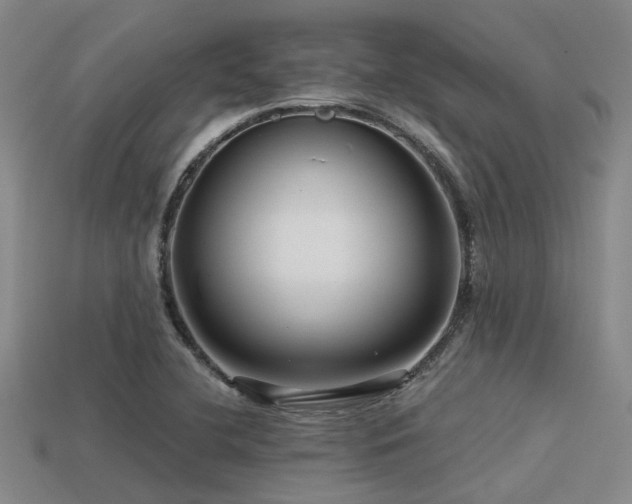 X0000113611412200909181410