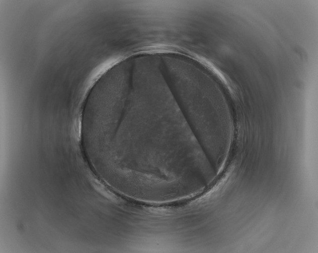 X0000113611413200909181410