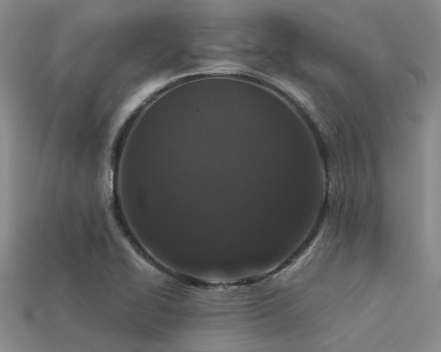 X0000113611414200909181410