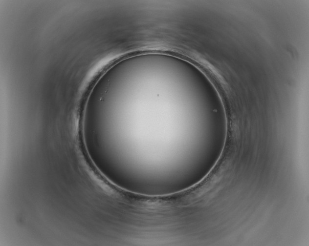 X0000113611416200909181410