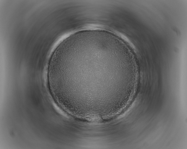 X0000113611421200909181410