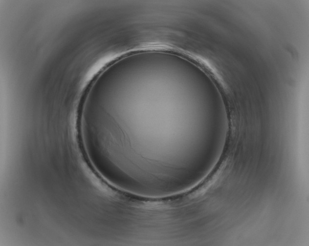 X0000113611422200909181410