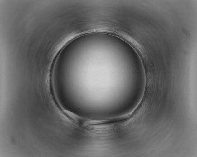 X0000113611423200909181410