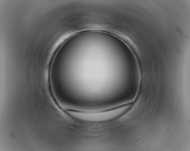 X0000113611424200909181410