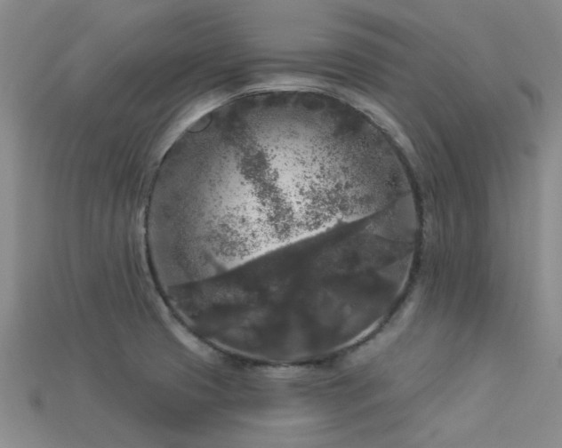 X0000113611425200909181410