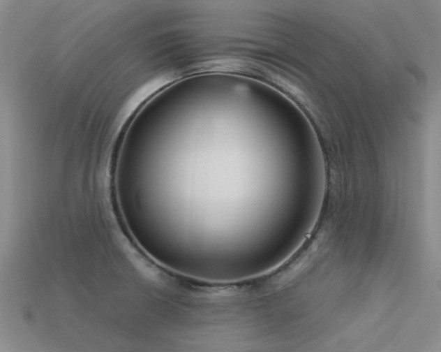 X0000113611426200909181410