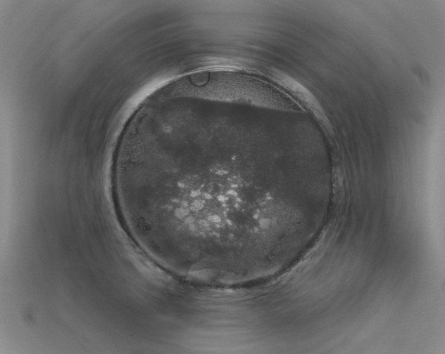 X0000113611427200909181410