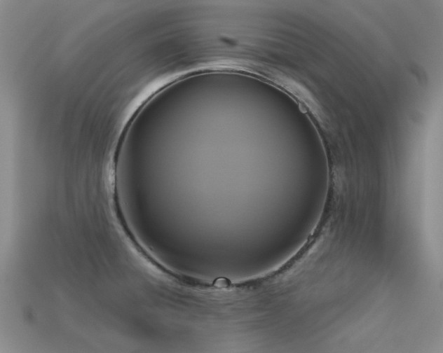X0000113611428200909181410