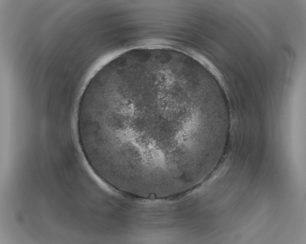 X0000113611429200909181410