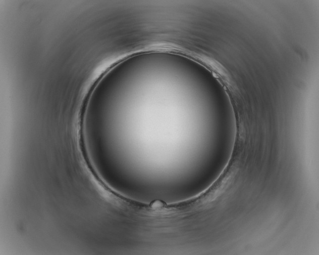 X0000113611430200909181410