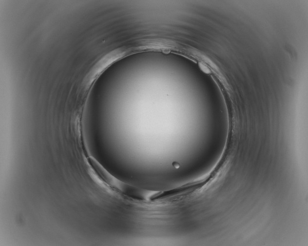 X0000113611433200909181410