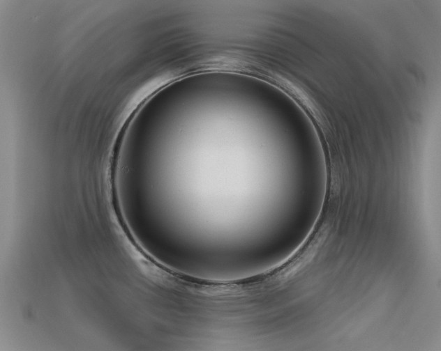 X0000113611434200909181410