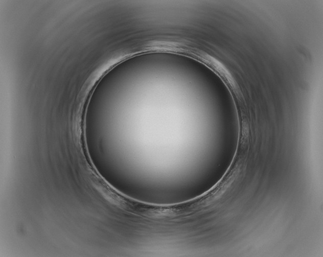 X0000113611435200909181410