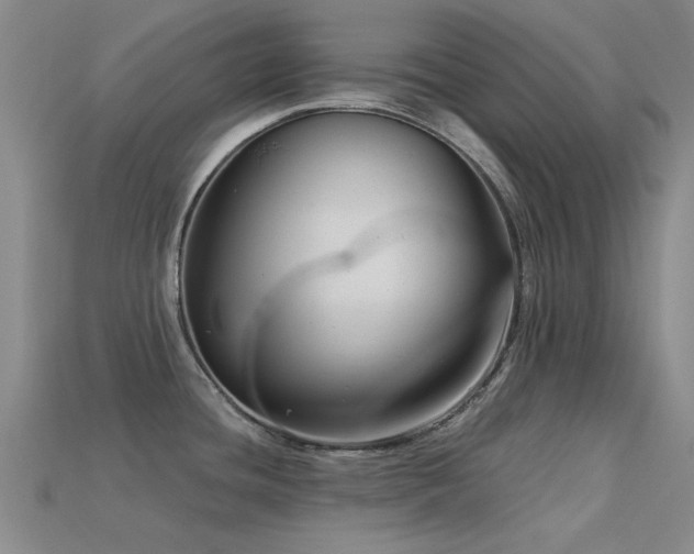 X0000113611436200909181410