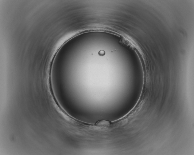 X0000113611437200909181410