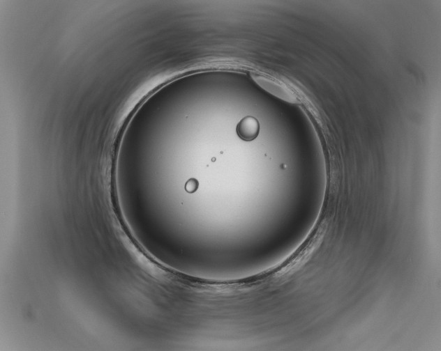 X0000113611438200909181410