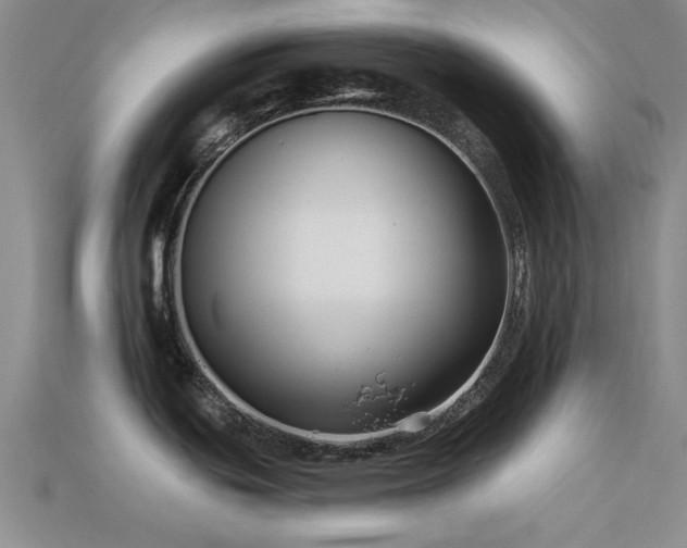 X0000113611439200909181410