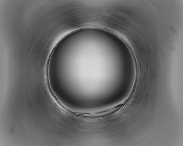 X0000113611440200909181410