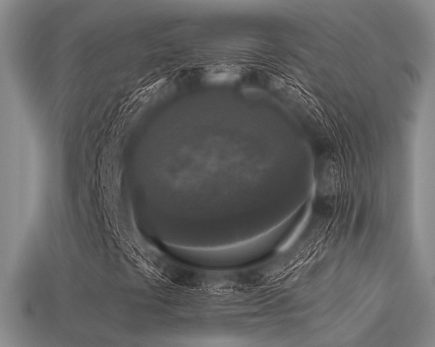 X0000113611441200909181409