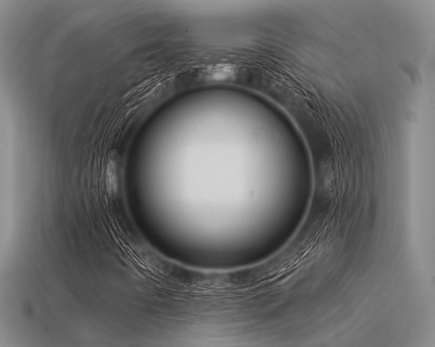 X0000113611442200909181409