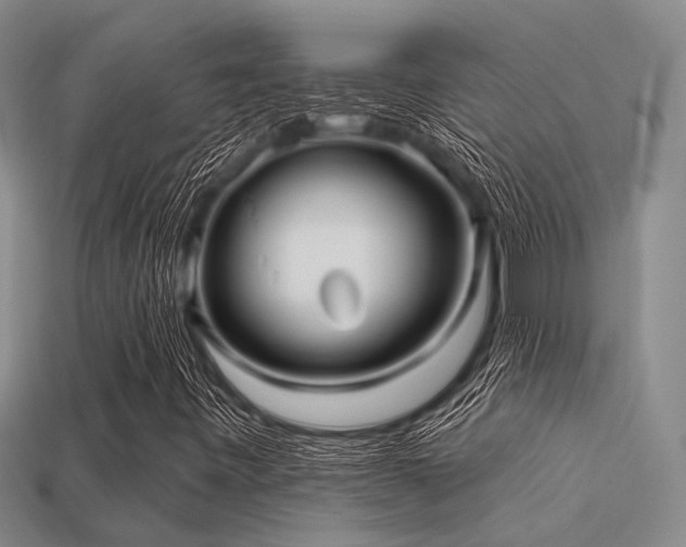 X0000113611443200909181409