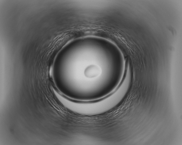 X0000113611444200909181409