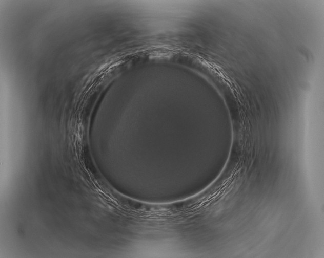 X0000113611445200909181409