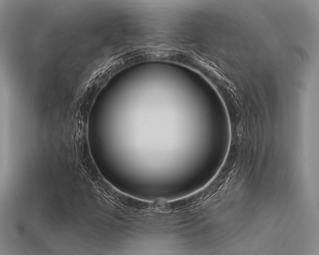 X0000113611447200909181409