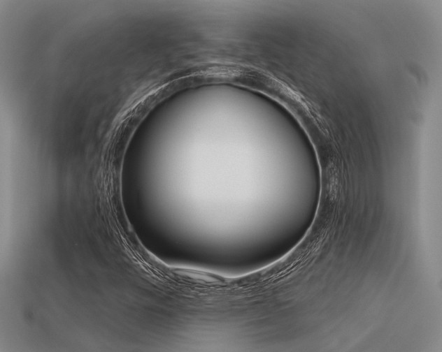X0000113611448200909181409