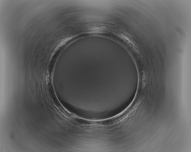 X0000113611449200909181409