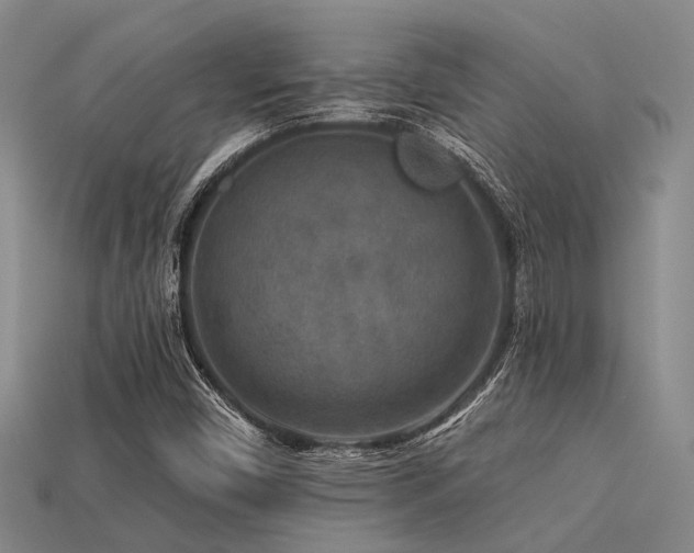 X0000113611450200909181409