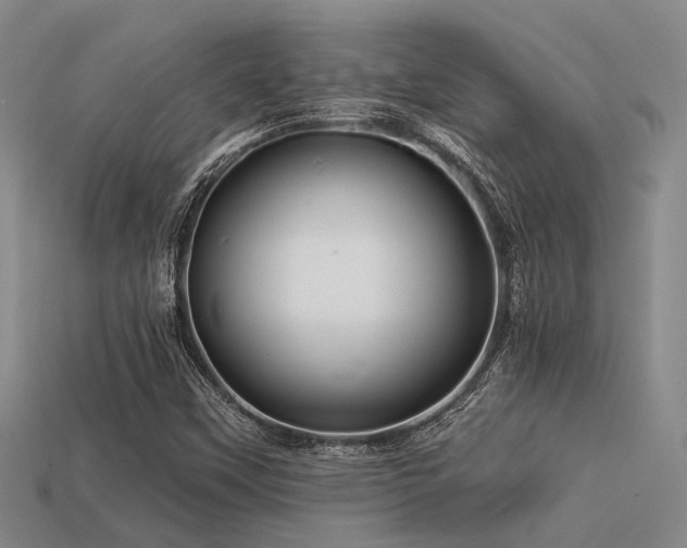 X0000113611451200909181409
